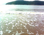 象山天气预报7天