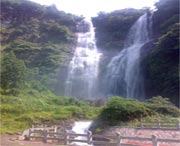 泰顺天气预报7天