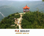 洞头天气预报7天