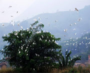 龙泉天气预报7天
