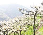 五河天气预报7天