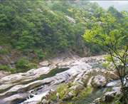 金家庄天气预报7天