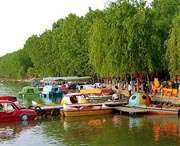 太和天气预报7天