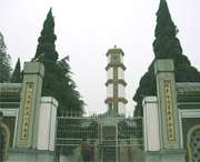 利辛天气预报7天