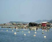 连江天气预报7天