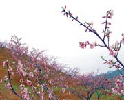 建宁天气预报7天