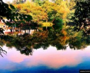 花溪天气预报7天