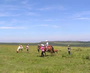 龙里天气预报10天