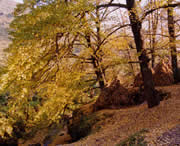 盘县天气预报7天