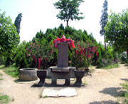 郫县天气预报7天