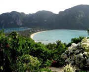 新津天气预报7天