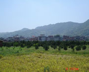 美姑天气预报7天