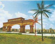 阳西天气预报7天