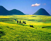 罗平天气预报7天