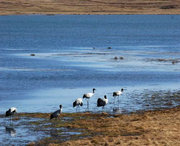 会泽天气预报7天