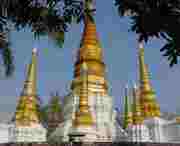 瑞丽天气预报7天